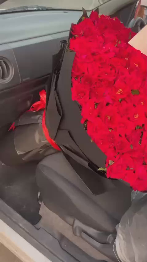 Red Lovebug