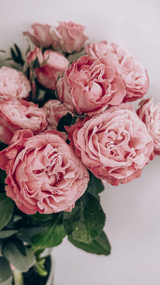 Find Out the Best Flower Shops in Lahore