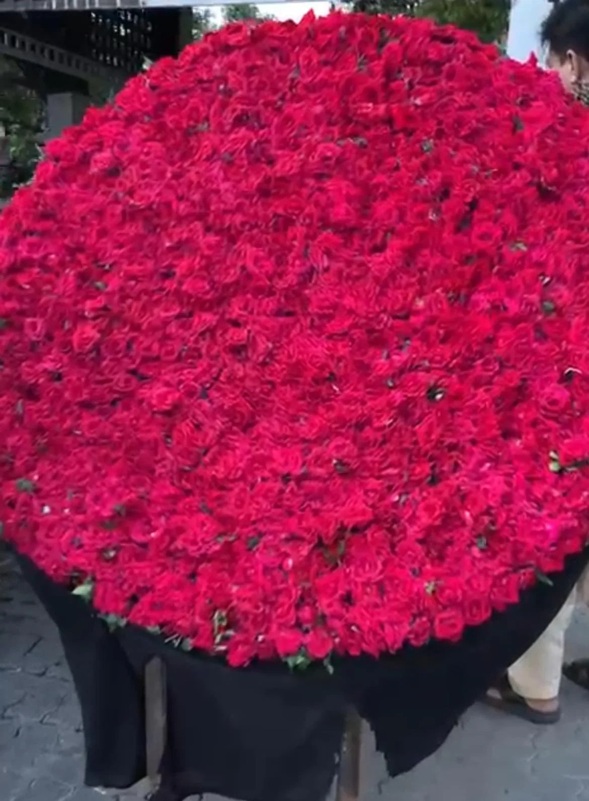 Elegant bouquet of fresh 1000 red roses for Valentine's Day and anniversaries