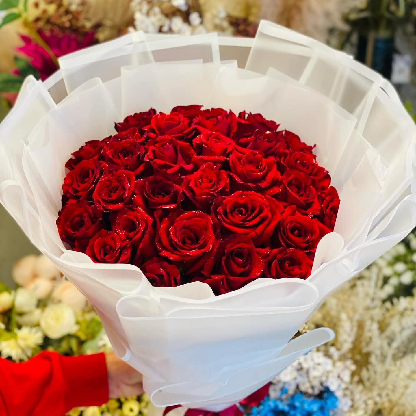 Bouquet of red roses wrapped in white paper with a red ribbon, surrounded by other flowers.